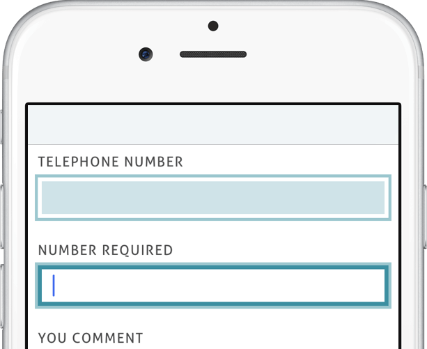 Screenshot of number input on iPhone