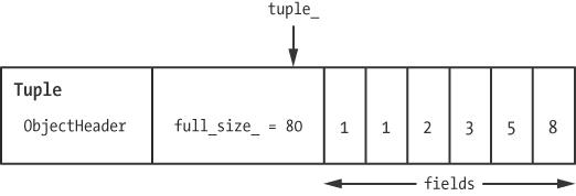 Rubinius saves array data in tuple objects.