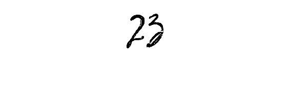 23