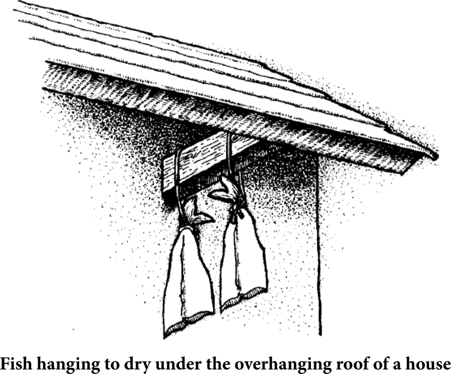 Fish hanging to dry under the overhanging roof of a house