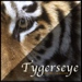 Tygerseye Publishing LLC