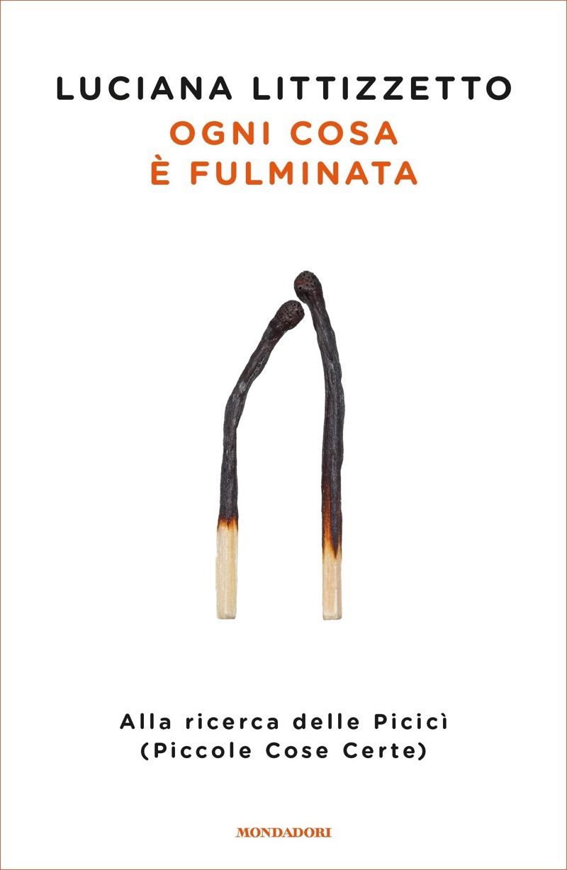 Copertina. «Ogni cosa è fulminata» di Luciana Littizzetto