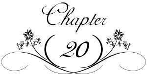 Chapter 20