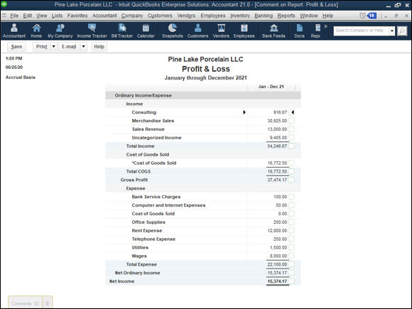 Snapshot of a simple profit and loss statement with a single Total column.