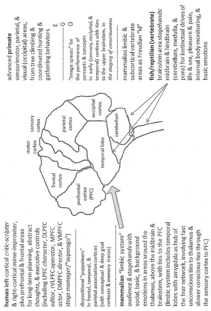 Figure 1.1 Levels, Stages, and Feedback Loops of the Animal Legacies in the Human Brain