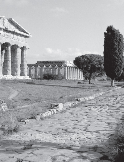 Temple of Neptune and the Basilica, from the Roman road to the north-west.