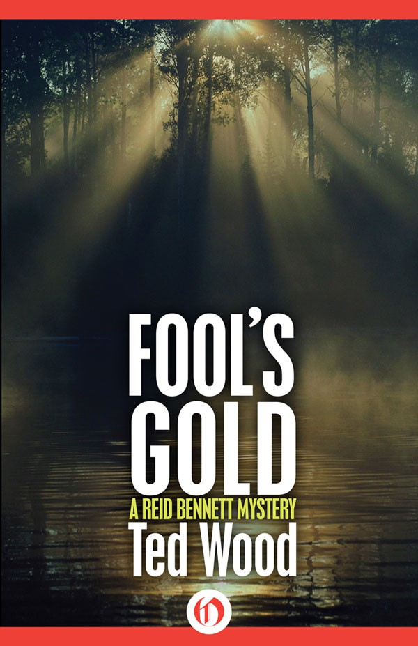 Fool's Gold: A Reid Bennett Mystery