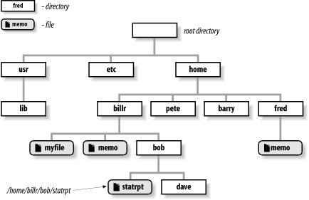 A tree of directories and files