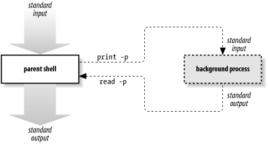 Coroutine I/O