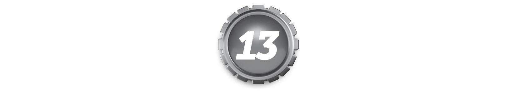 13