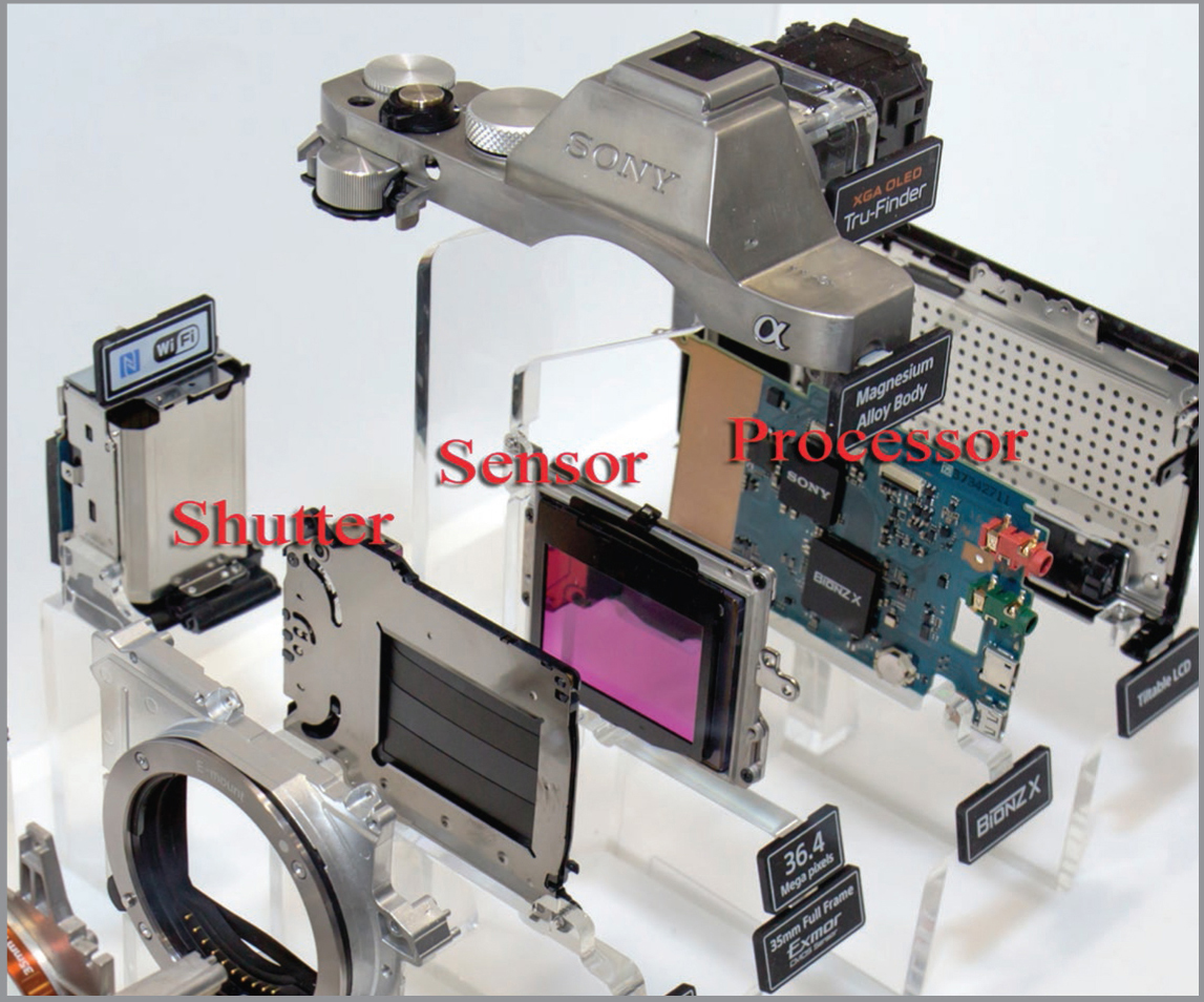 Exploded view of...