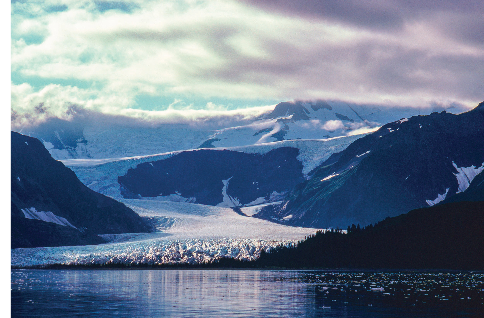 Pederson Glacier in...