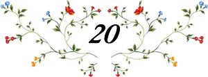 20