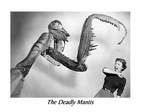 deadlymantis