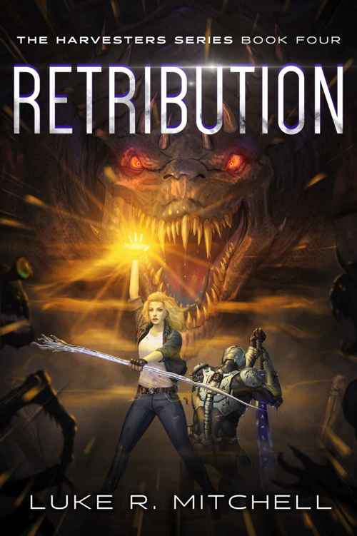 Retribution book cover