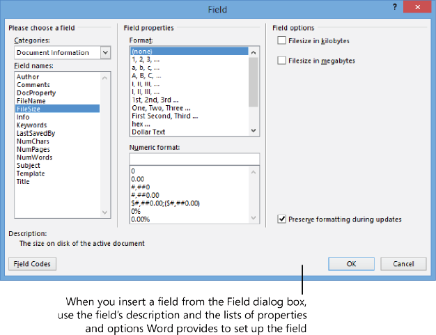 Screen shot of the Field dialog box.