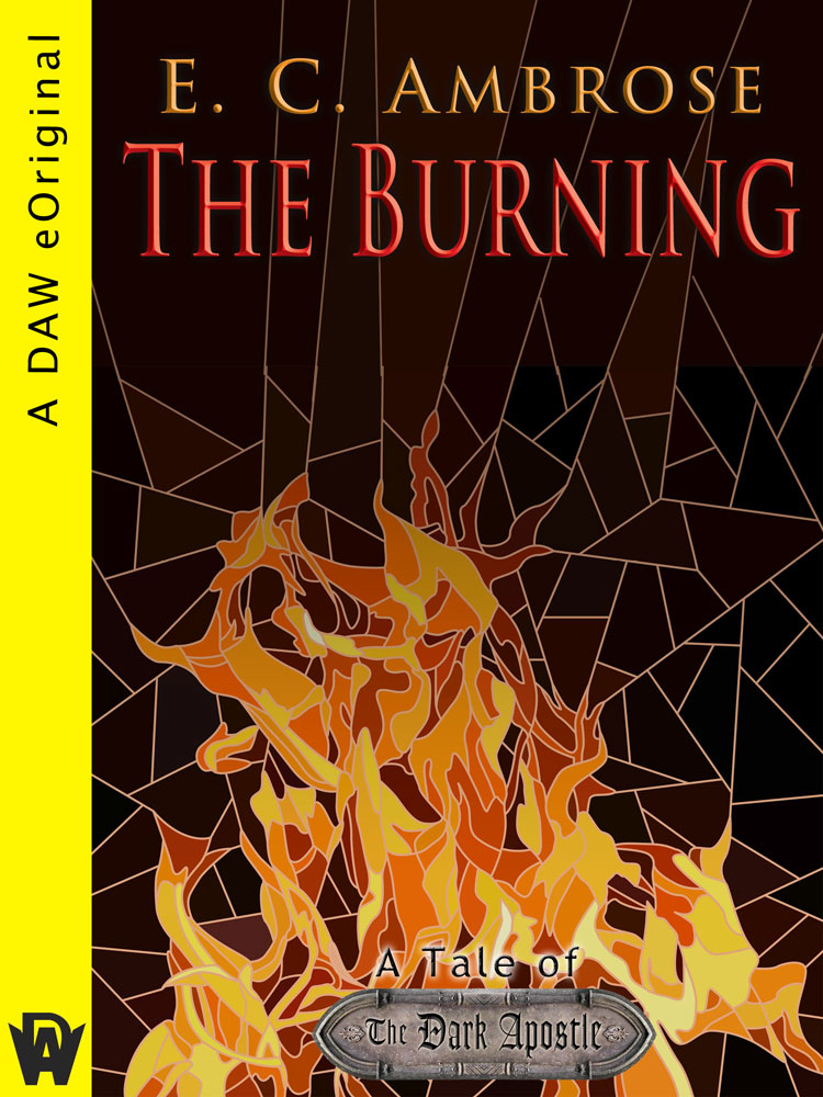 Cover for The Burning