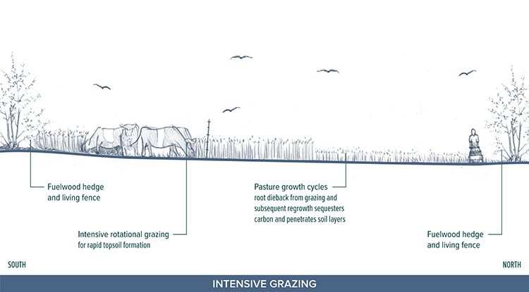 4-16_Grazing.tif