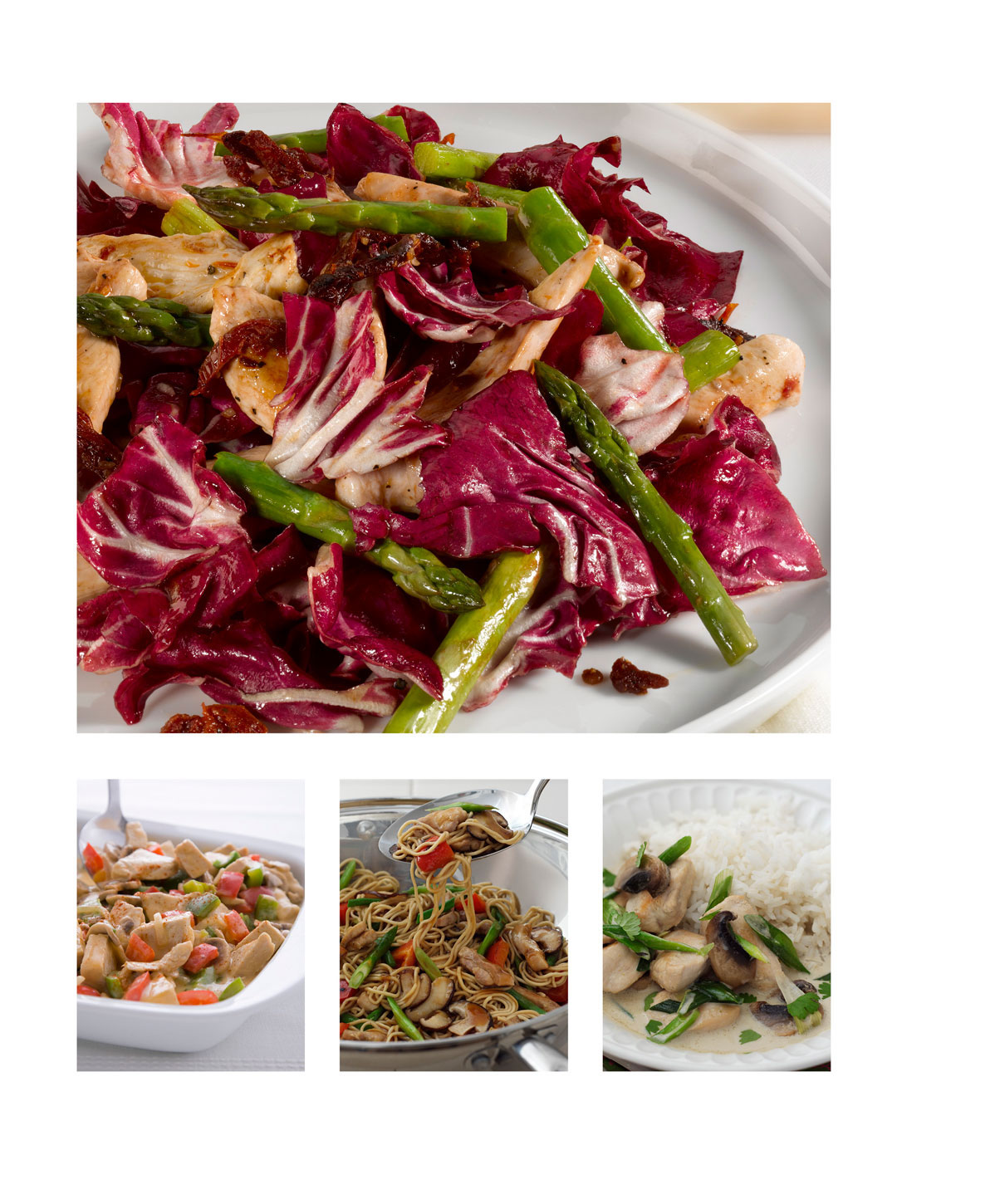 large image of warm chicken salad, followed below by three small images, one with turkey a la king, one with chicken chow mein and one with thai green chicken curry