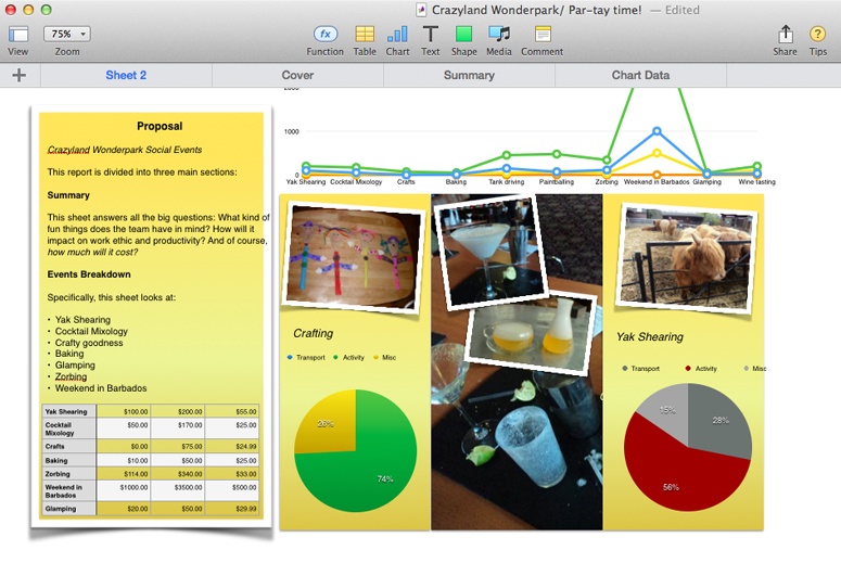 The final design of the proposal’s cover page mixes intro text, a line graph, a smattering of important big-picture pie charts, a table, and eye-catching images. The whole thing works as a kind of magazine-cover intro for the detailed data presented within.The source tables for all these charts are tucked away on the back sheet, so the audience isn’t overwhelmed by rows of stats on the very first sheet.