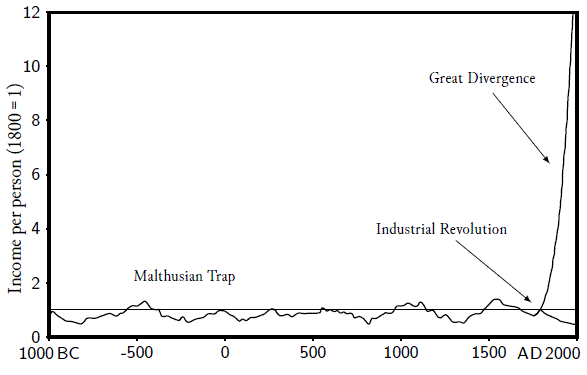 Figure 2: World economic history in one picture. Incomes rose sharply in many countries after 1800 but declined in others.