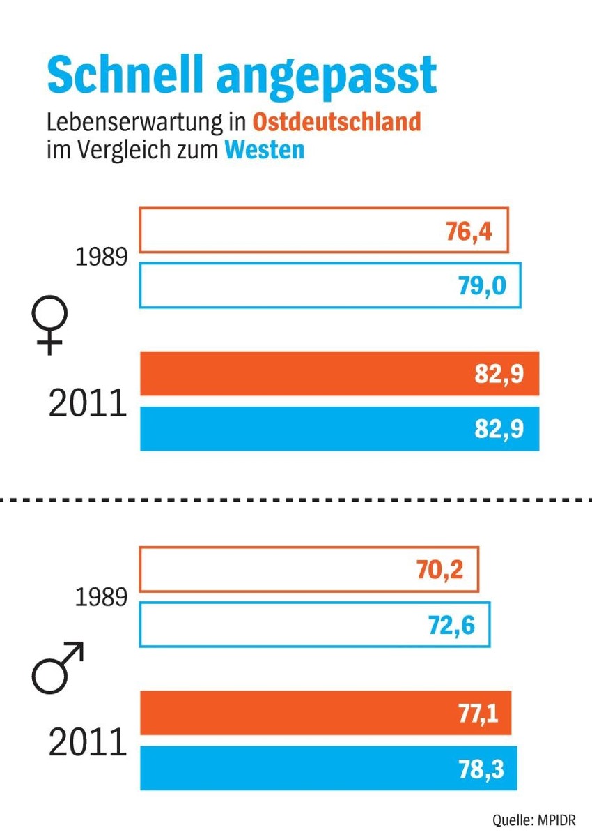 Abbildung