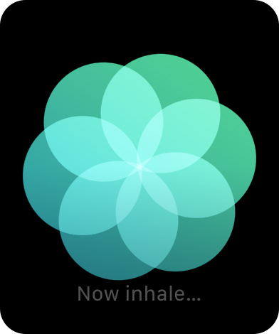 Figure 91: Follow the Breathe app’s visual and haptic prompts for when to inhale and exhale.