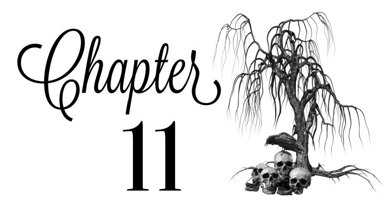 Chapter 11