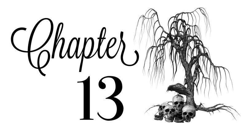 Chapter 13