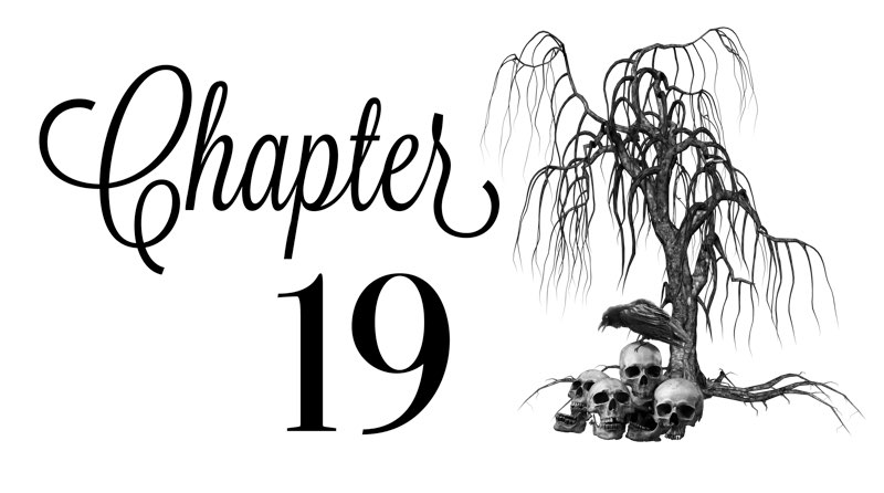 Chapter 19