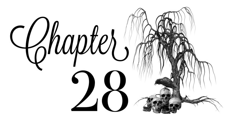 Chapter 28