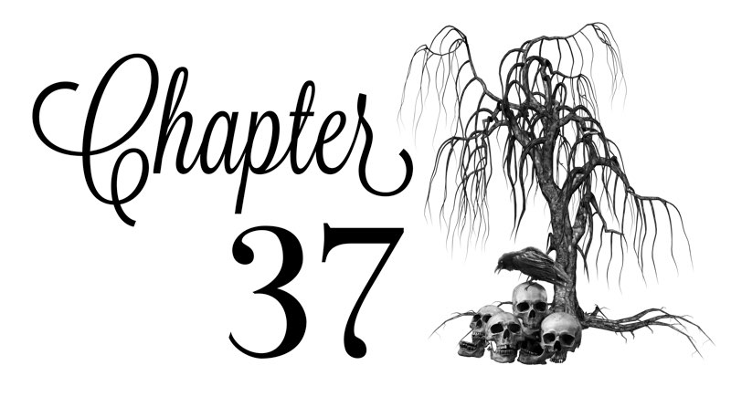 Chapter 37