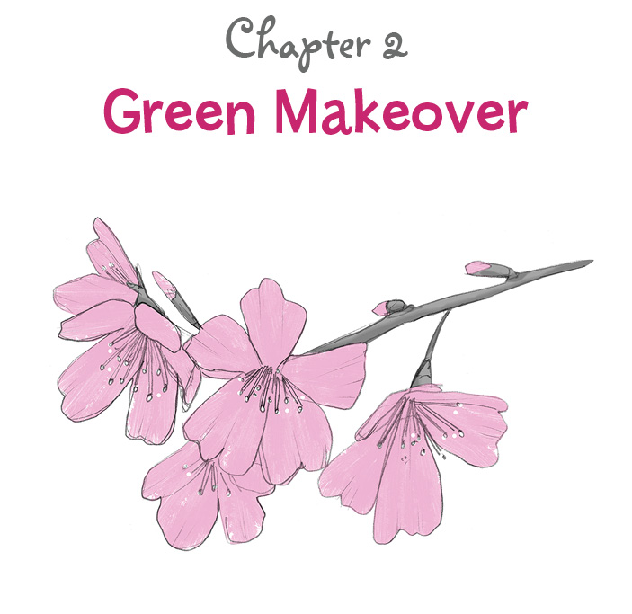 Chapter 2: Green Makeover