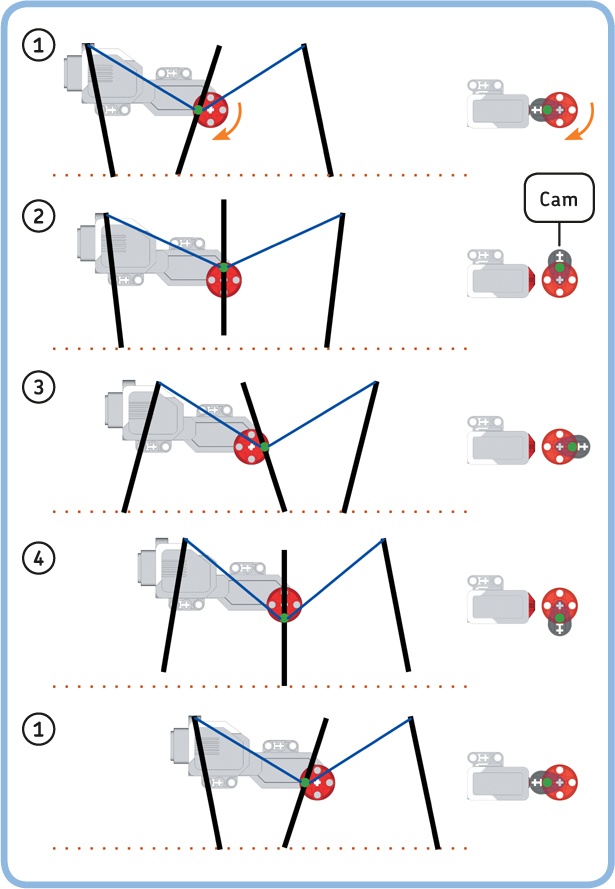 Turning the motor forward makes the three legs (black lines) step forward. The motor moves the middle leg by rotating the pivot (green dot) in a circle. In turn, the middle leg makes the outer legs move using a set of beams (blue lines). After one full rotation, the legs are back in position 1, and the robot has moved forward.