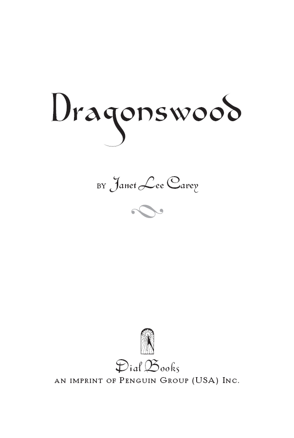 Cover image for Dragonswood