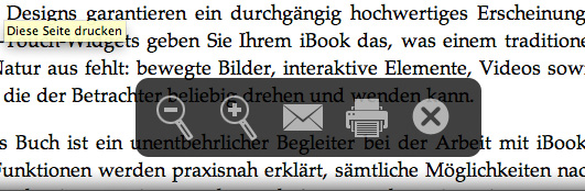 Funktionen_in_der_Reader-Darstellung.tif