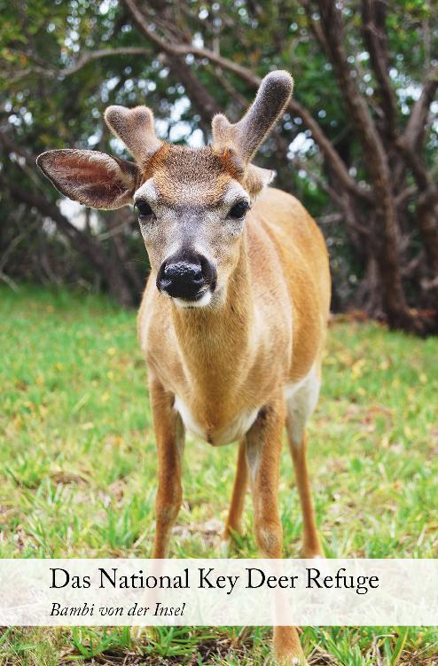 Das National Key Deer Refuge