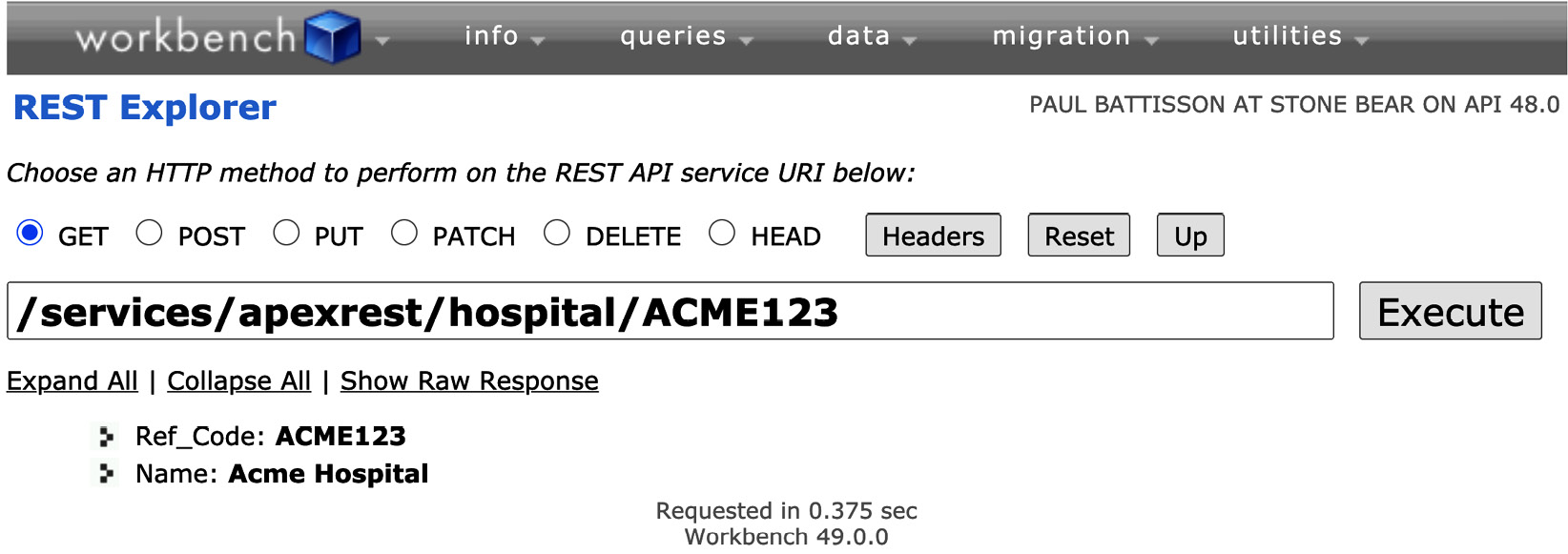 Figure 12.4 – Running a GET request against a custom endpoint using the Workbench REST Explorer
