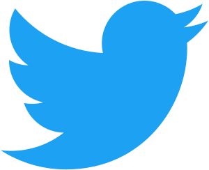 Twitter_bird_logo_2012.svg