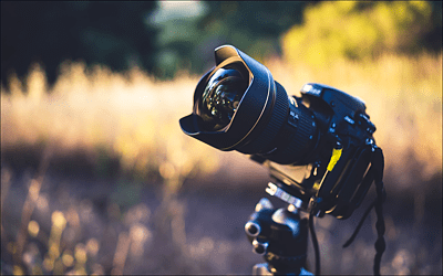 Videoaufnahme in der Natur