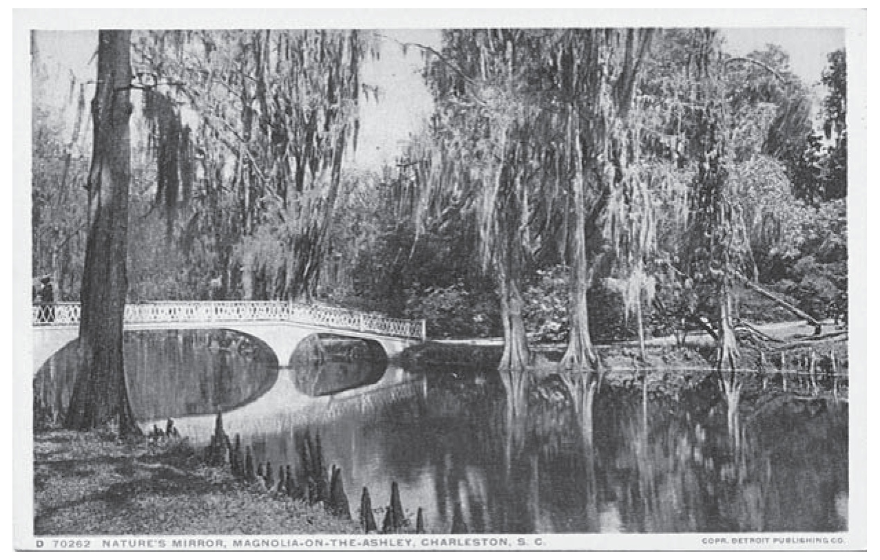 Change came slowly to Charleston’s historical tourism industry. Well into the 1970s, plantation owners marketed their sites as enchanting gardens guaranteed to delight nature lovers.