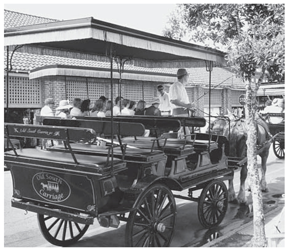 Efforts to diversify the stories told by tourism operators did not always succeed. An Old South Carriage Company tour guide in 2008 explained that all eighteenth-century Charleston residents were either English or French Huguenots, neglecting the city’s black majority.