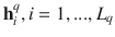 $$\mathbf {h}_i^q, i=1,...,L_q$$