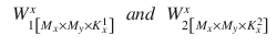 $$\begin{aligned} \begin{array}{ccc} {W_{1{\left[ M_{x} \times M_{y} \times K_{x}^{1} \right] }}^{x}}&{and}&{W_{2{\left[ M_{x} \times M_{y} \times K_{x}^{2} \right] }}^{x}} \end{array} \end{aligned}$$