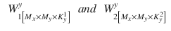 $$\begin{aligned} \begin{array}{ccc} {W_{1{\left[ M_{x} \times M_{y} \times K_{y}^{1} \right] }}^{y}}&{and}&{W_{2{\left[ M_{x} \times M_{y} \times K_{y}^{2} \right] }}^{y}} \end{array} \end{aligned}$$