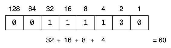 One byte representing the decimal number 60