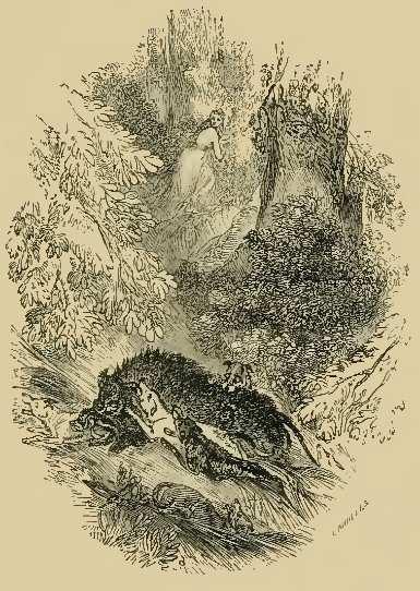 Boar Hunt in Morfe Forest