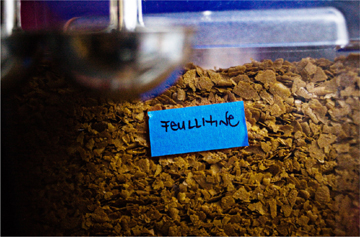 Feuillitine in a plastic container, labeled with blue tape