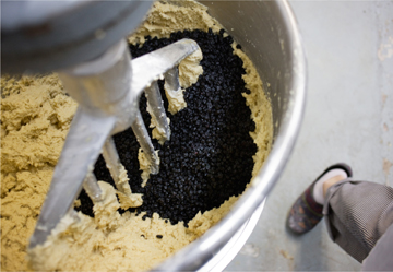 Overhead shot of the bowl of a large stand mixer with cookie dough and dried blueberries