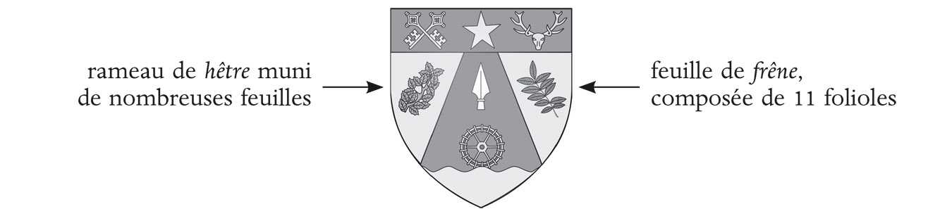 Blason de  , qui évoque à la fois le  hêtre et le  frêne, souvent associés dans les forêts de feuillus